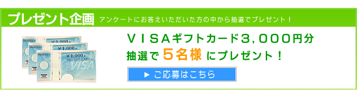 VISAギフトカードプレゼント